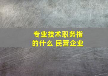 专业技术职务指的什么 民营企业